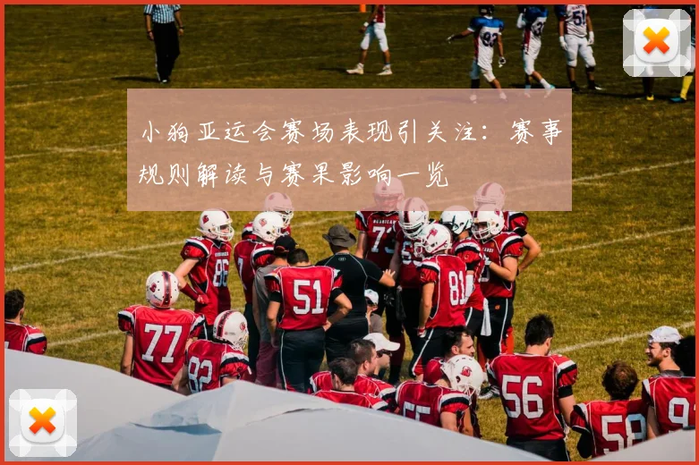 小狗亚运会赛场表现引关注：赛事规则解读与赛果影响一览