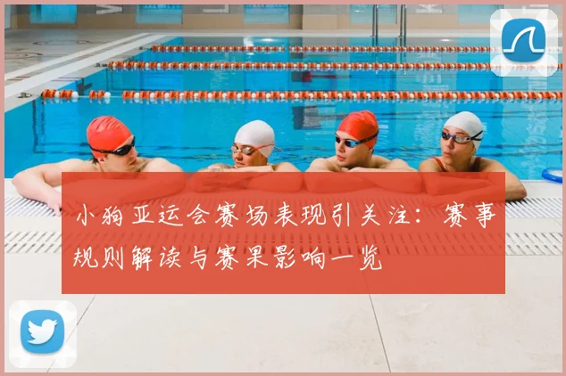 小狗亚运会赛场表现引关注：赛事规则解读与赛果影响一览