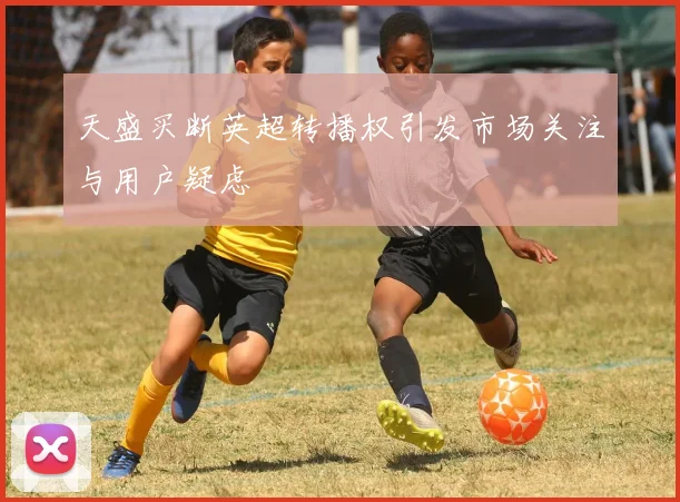 天盛买断英超转播权引发市场关注与用户疑虑