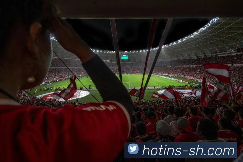 App Interface Preview